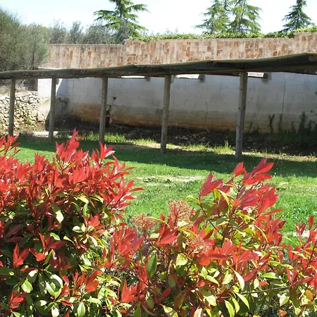 Holiday home Neue Fantastische Casa Degli Ulivi Privaten Pool *